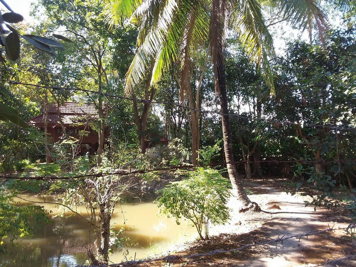 Your Home In Mae Rim Ban Muang Pha Kültér fotó