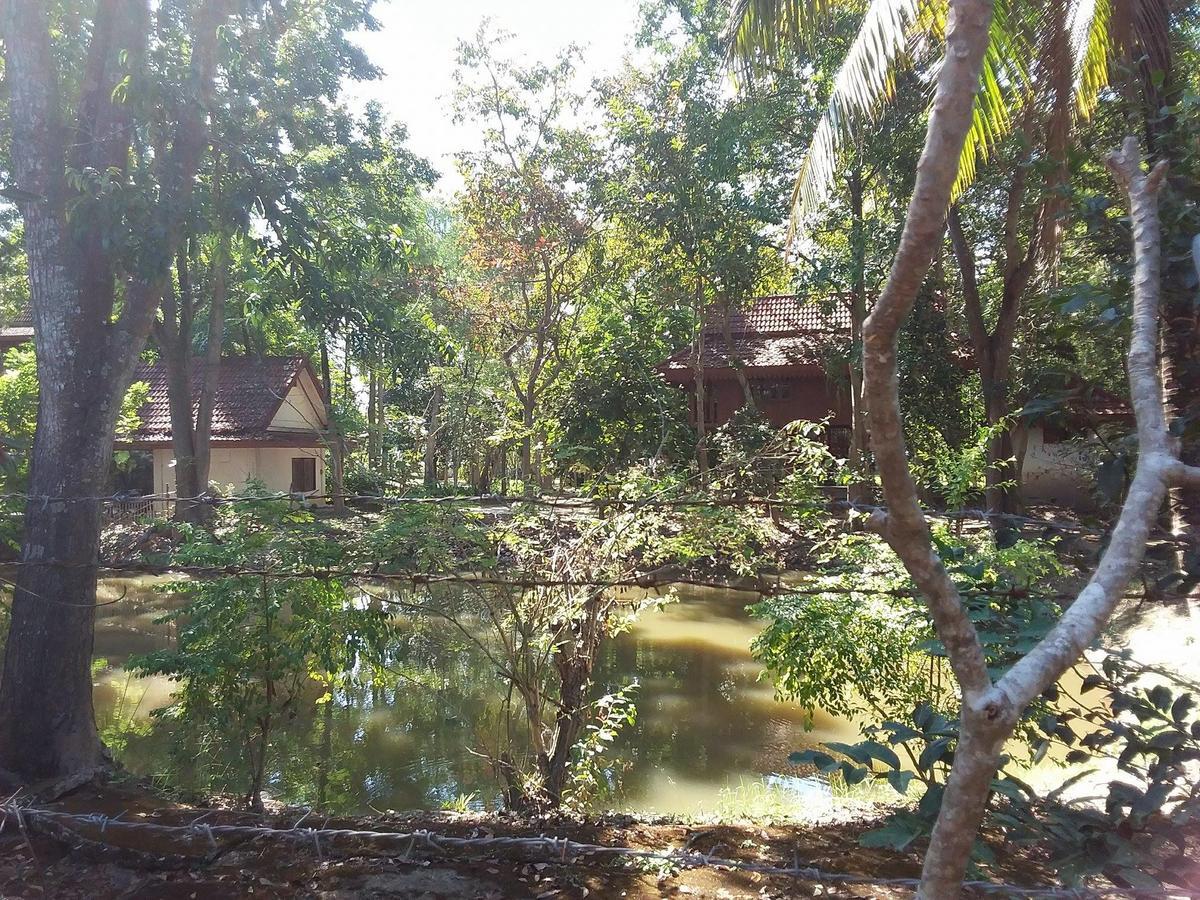 Your Home In Mae Rim Ban Muang Pha Kültér fotó