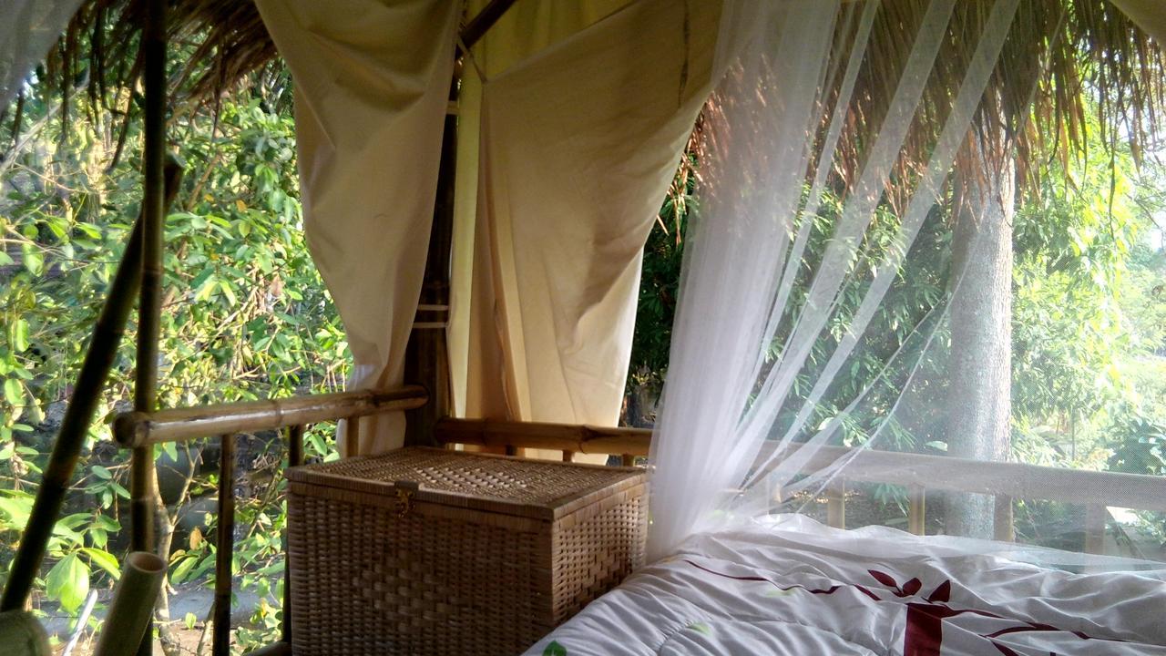 Your Home In Mae Rim Ban Muang Pha Kültér fotó