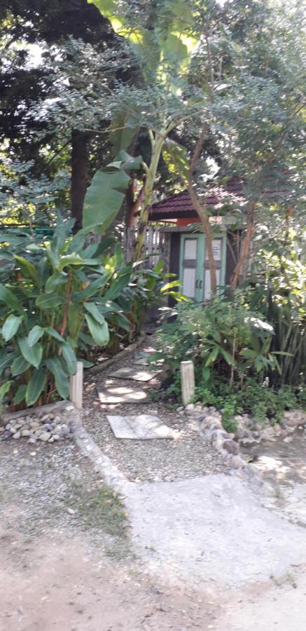 Your Home In Mae Rim Ban Muang Pha Kültér fotó